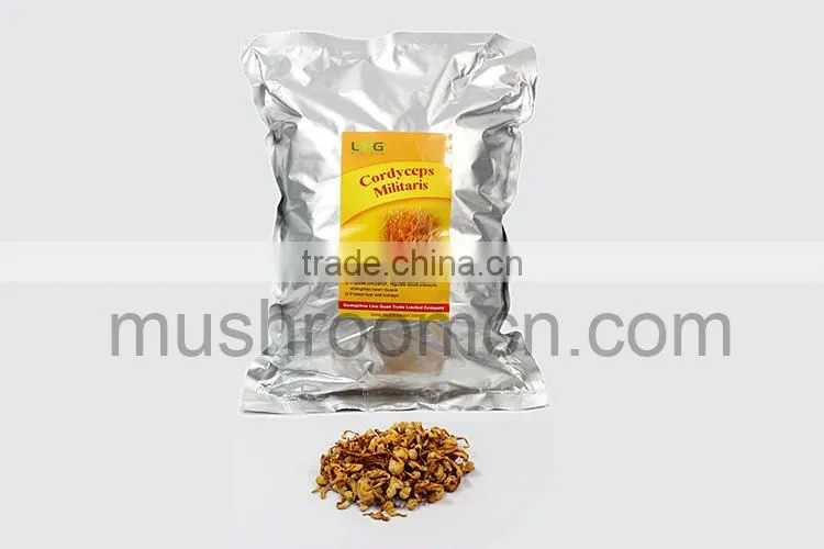 Chinese Dry Cordyceps Fungi Fruit Body