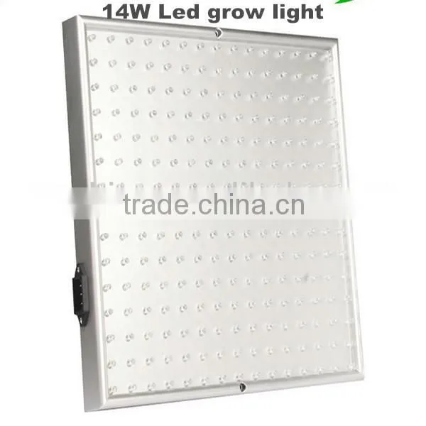 Changeable Color 20W Led Flood light for plants Led Grow Light LED