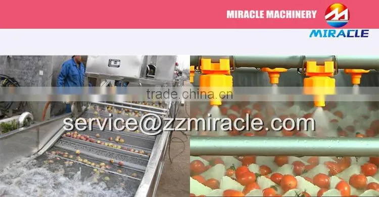 Air bubble vegetable cleaning machine/salted vegetables/fruits washing machine for sale