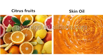 Citrus Fruits Peel Essential Oil Extracting Machine / Green Lemon Peel Essential Oil Extractor