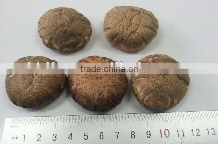 dried tea flower mushroom