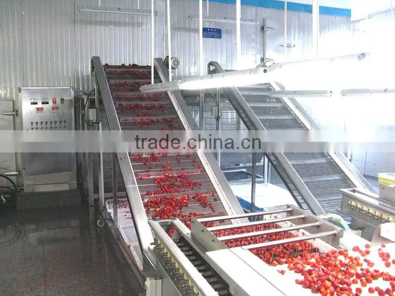 2015 NEW crops canned strawerry