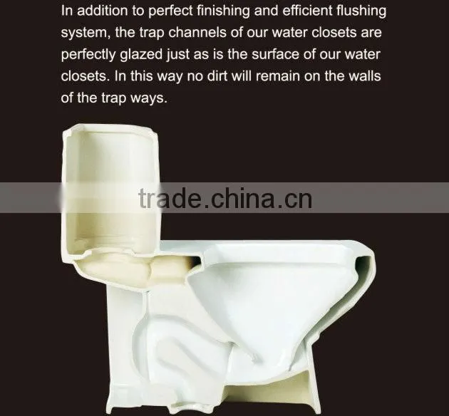 Separate washdown water closet WA385