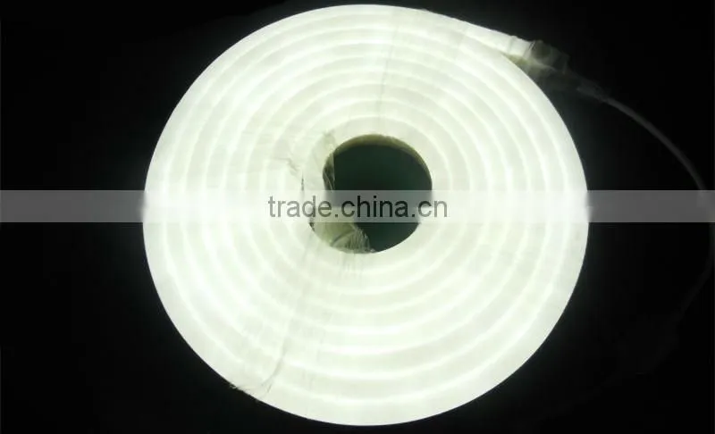 High Brightness white and warm white best pirce led neon flex