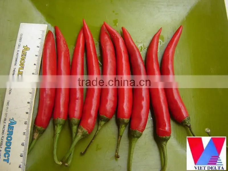 Fresh red big chili