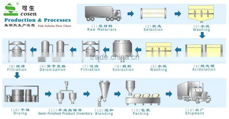 gelatin powder
