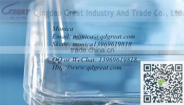 Transparent Pet Egg tray 10 Eggs tray