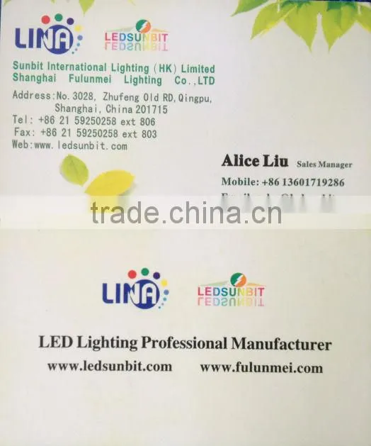IP65 2 years led neon rope led rgb neon flex led flat flex