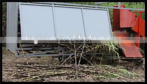 New condition brand product 6BCT-5 sugarcane leaf machine sugarcane peeling machine