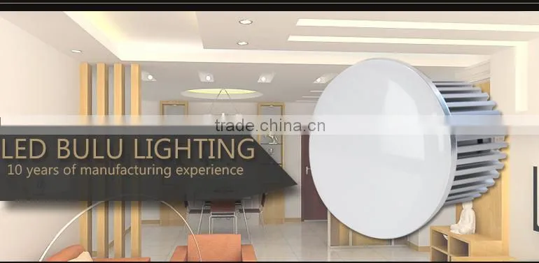 SMD rice bulb rope light high quanlity