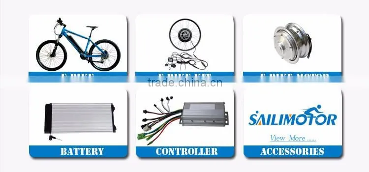 brushless DC gear motor