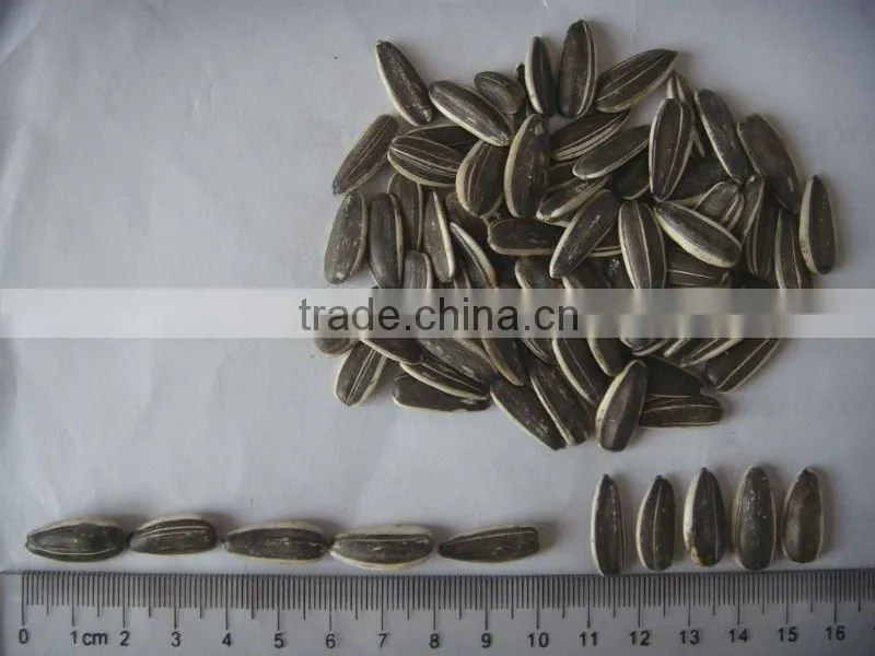 peeled sunflower seeds