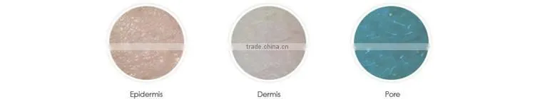 CosBeauty Brand updated new model WIFI connected app aiDirect Pro smart skin analyzer