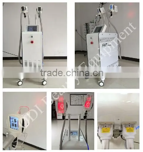 ODM Service fat ice slim freeze type lose weight machine