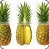 Fresh Pineapple
