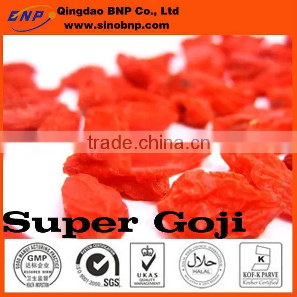 GMP KOSHER HALAL ISO BNP High Quality Chinese Red Dried Organic Goji Berry