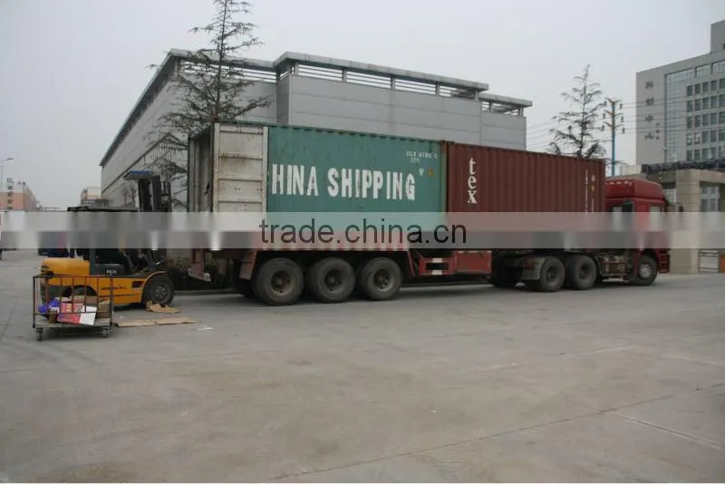 2014 stainless steel garlic processing machine