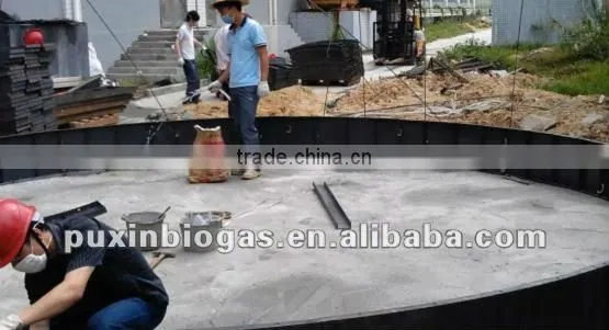 Low cost and big size PUXIN biogas plant for electricity generation