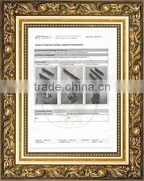 BM Series Hydraulic Motor with CE,BV Certificate
