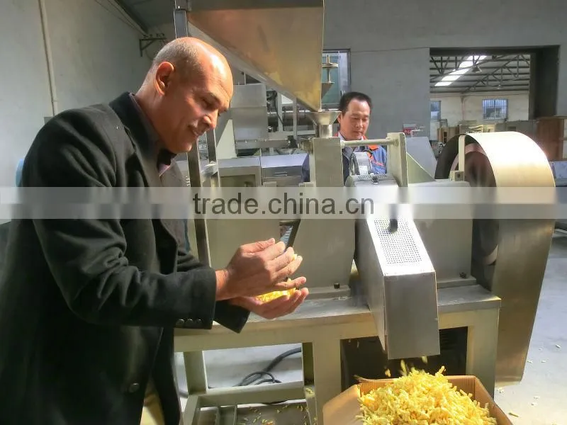 DP70 Instant rice/nutritional rice processing machine/maker in china