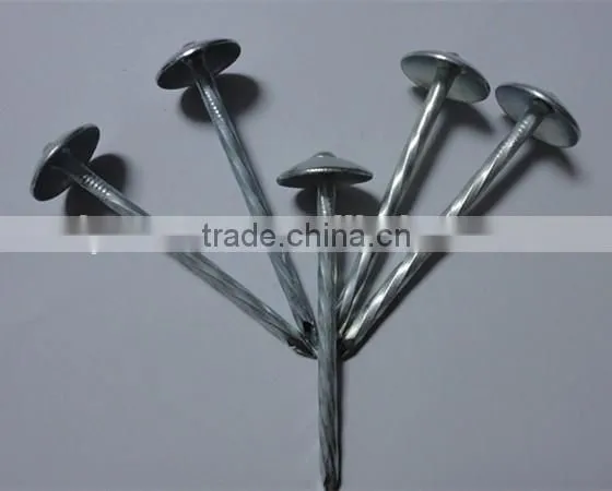 Large head roofing nail china nail factory price from China