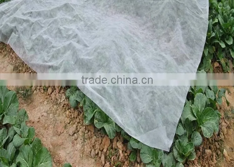 New Trend Product Vegetable Protect Pp Spunbond Agricultural Nonwoven Covers