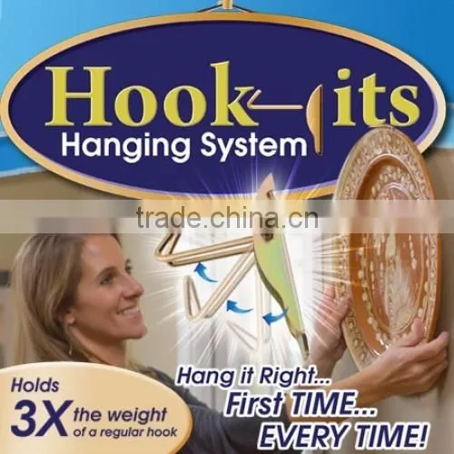 Hook its hanging system