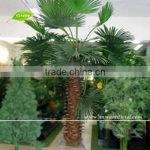 APM045 GNW Indoor Palm Trees 12ft High