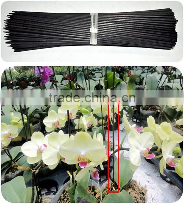 Wholesale decorative bamboo garden stakes