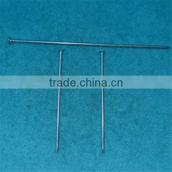 High Standard Galvanized Concrete Nail
