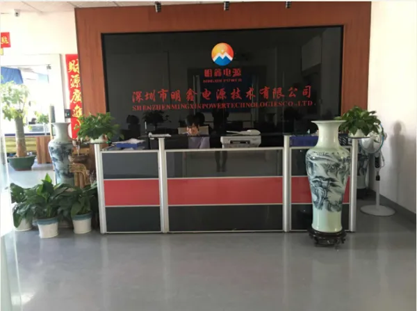 Shenzhen Mingxin Power Technologies Co.,Ltd. company overview - view 1