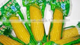 Vacuum thermoforming packaging machine/Vacuum Skin Packaging Machine