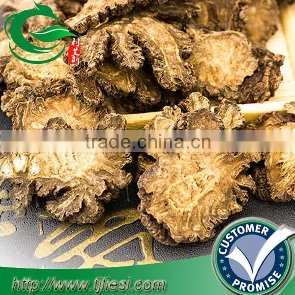 supply Ligusticum wallichii not extract