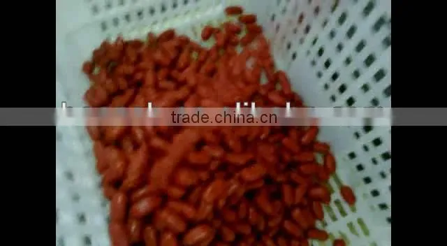 GSJ-1800 High speed sausage shearing machine