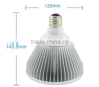 IP65 LED PAR38 Spot Lamps E27