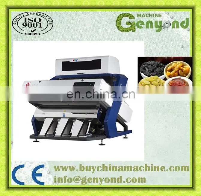 plant for raisin /dried grapes processing machine