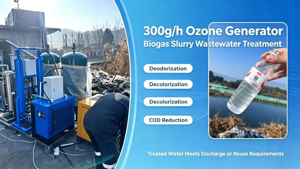 300g Ozone Generator | Biogas Slurry Wastewater Purification