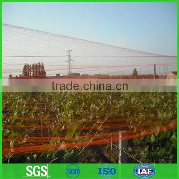 Largest manufacturer of plastic bird net