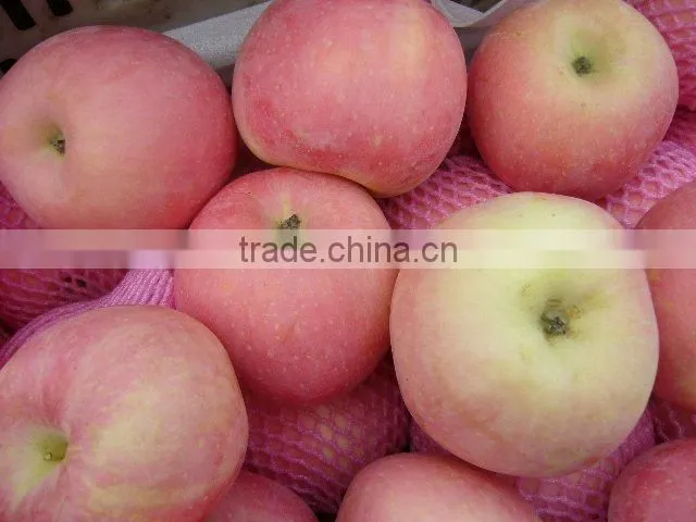 delicious Fuji apple