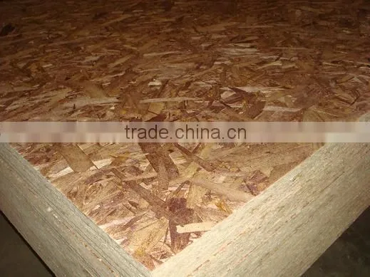 poplar OSB