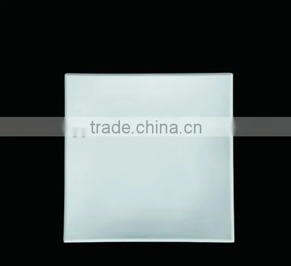 12 inch square plastic plate