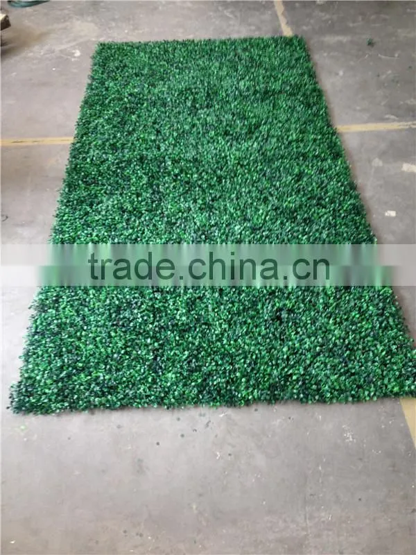 PE Material and Artificial Topiary Hedge Plant Type outdoor artificial boxwood hedge
