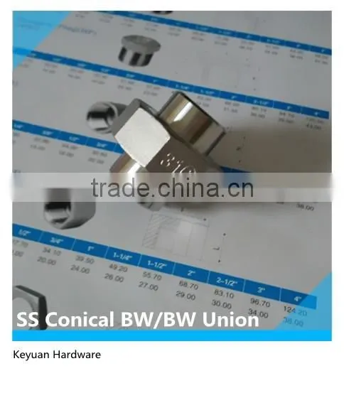 1" SS Cast Conical/Flat Seat Union Connector BW/BW for Filter System