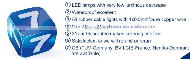 remote control RoHS led horizontal rope light
