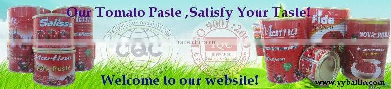 Fresh vegetables canned tomato paste concentrated 28-30%,tomato sauce