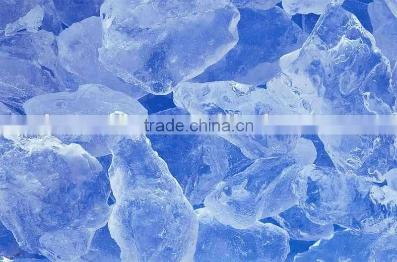 Salt water industrial ice plate machine price in Africa