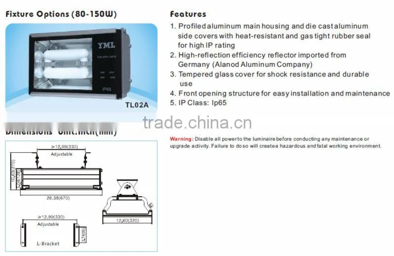 UL, ETL,CE,ROHS flood lamp induction ETL