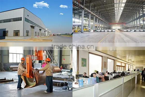 Prepainted steel sheet, ppgi