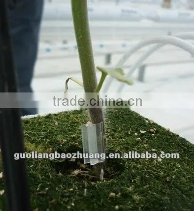 Garden Plant Hook