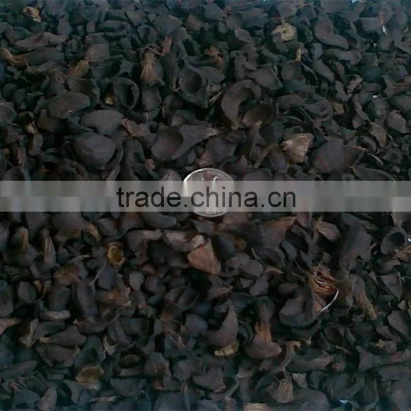 palm shell activated carbon